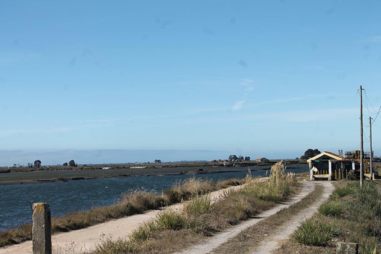 Casa Clara Villa Aveiro Buitenkant foto